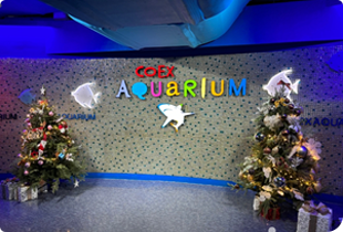 COEX Starfield Library and Aquarium