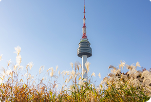 Namsan Seoul Tower