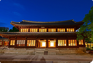 Royal Palace Experience (Gyeongbokgung, Deoksugung, Changdeokgung)