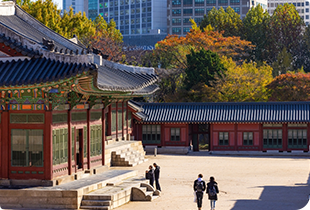 Royal Palace Experience (Gyeongbokgung, Deoksugung, Changdeokgung)