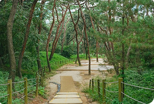 Seonjeongneung Royal Tombs